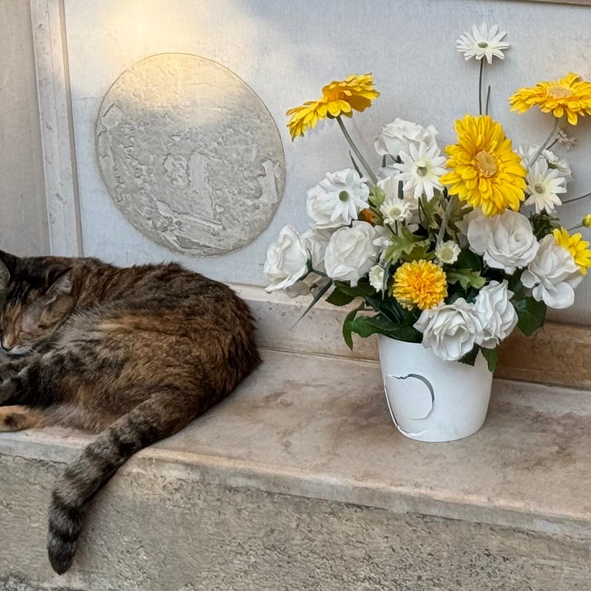 Dettaglio impiattamento